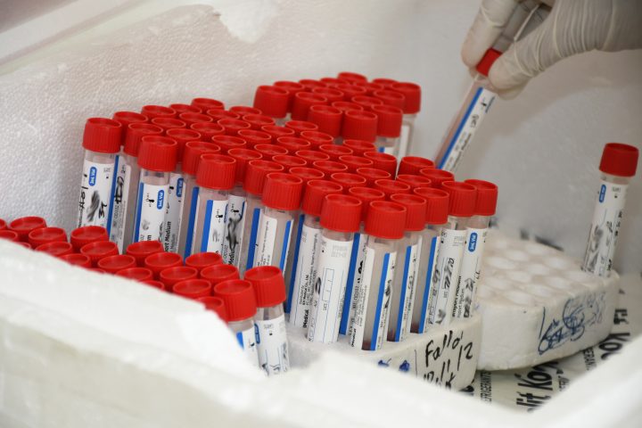  Salud Pública registra solo 9 nuevos casos de Coronavirus en últimas horas