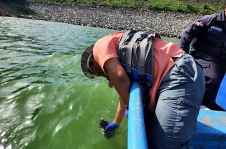 Floración de algas pudo provocar muerte de peces en la presa de Hatillo, dice Medio Ambiente